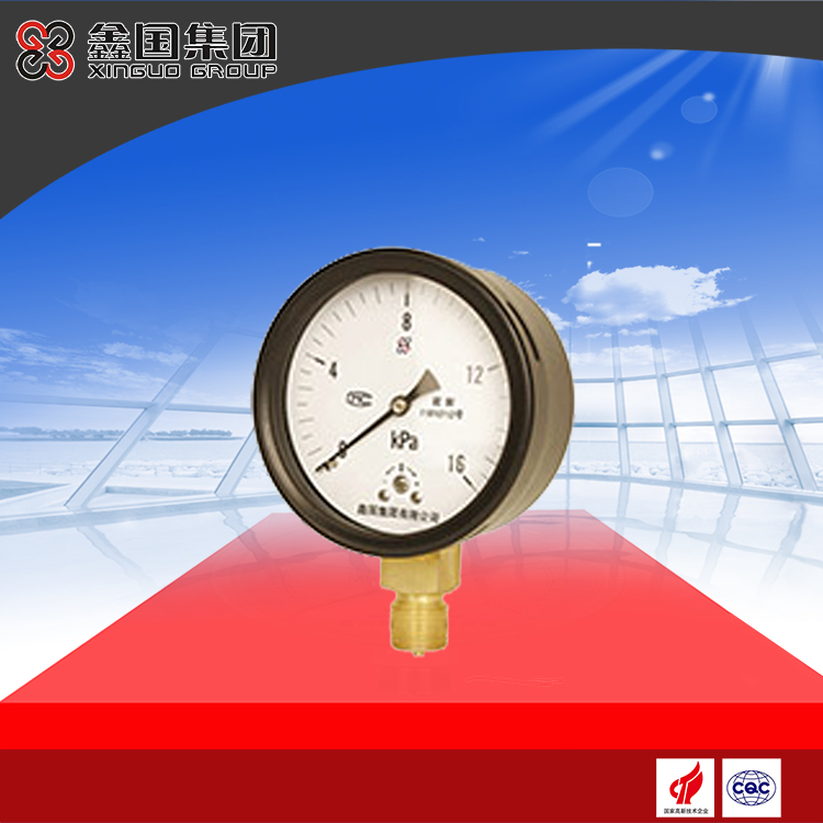 XG-YE-100, 150 series diaphragm pressure gauge