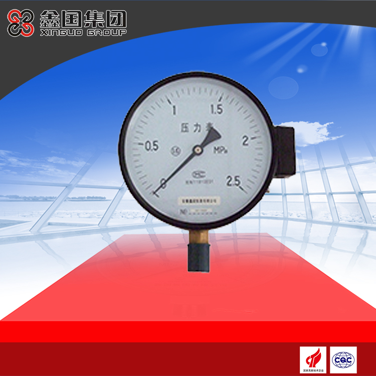 XG-YA-100, 150 series ammonia pressure gauge