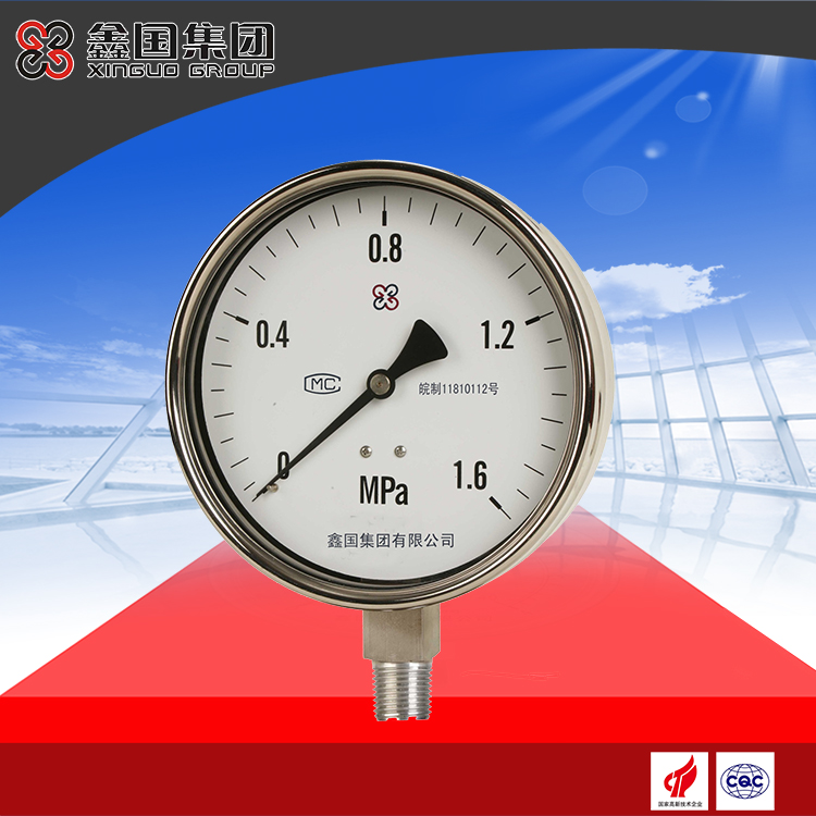 XG-Y-B all stainless steel pressure gauge