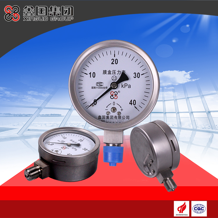 XG-YE-100B stainless steel diaphragm pressure gauge