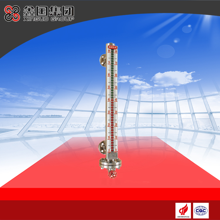 UZC-A02F high temperature and high pressure magnetic level gauge